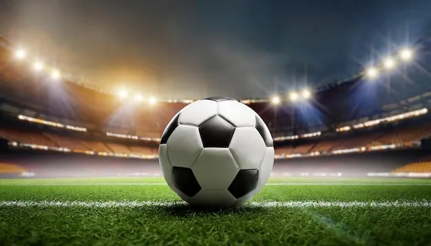 球迷在体育场欢呼